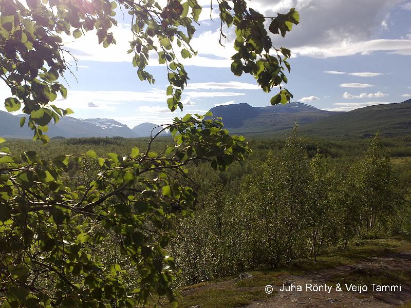 30072008072.jpg - Maisema kappelin mäeltä Kebnekaisen suuntaan.