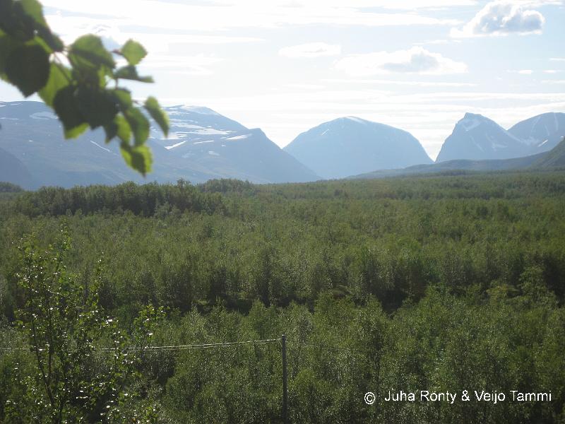 IMG_1765.JPG - Taustalla Skarttoaivi, Singicohkka, Duolbagorni ja Vierranvarri