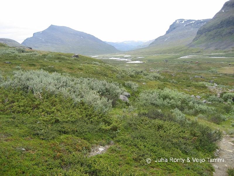 IMG_1857.JPG - Singin laakso avautuu näkyville.