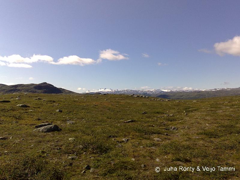 01082008092.jpg - Karua tunturiylänköä.