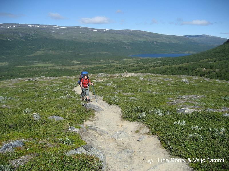 IMG_1790.JPG - Kungsleden oli paikoin aika kulunut ja polun saattoi erottaa kilometrien päähän.