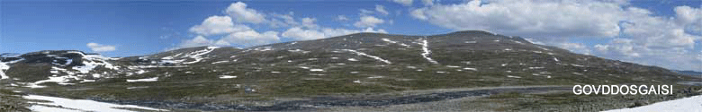 Govddosgaisi